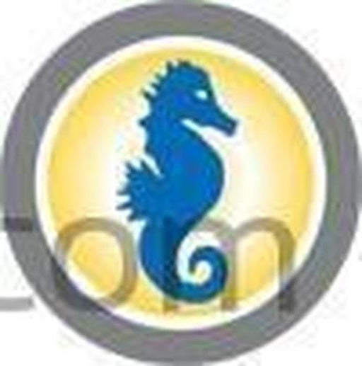 Call For Any Other Seahorse Case Sizes. We are Adding New Cases Everyday-Cobra Foam Inserts